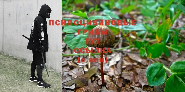 стаф Михайловск