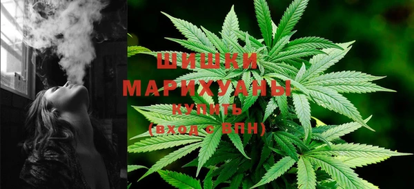 стафф Надым