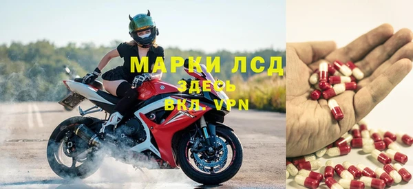 стаф Михайловск