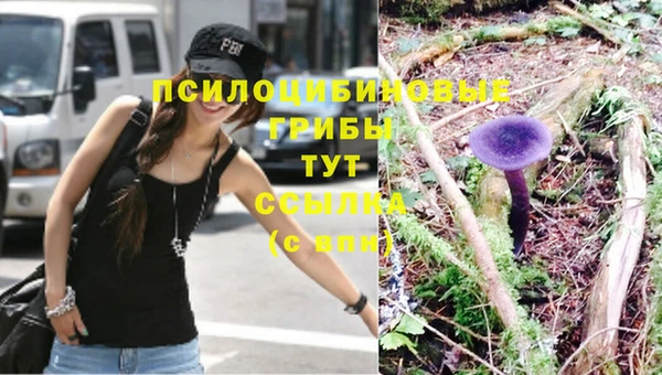 стаф Михайловск