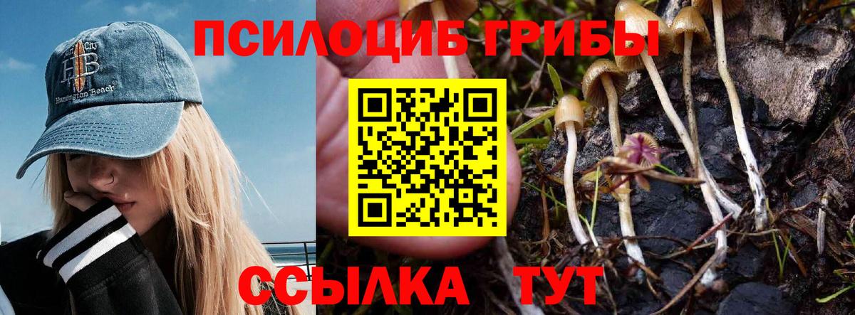 Галлюциногенные грибы Psilocybine cubensis  Вход с VPN  Курск 