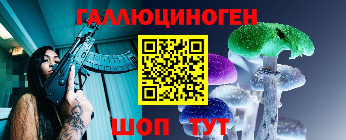 купить   Курск  Псилоцибиновые грибы GOLDEN TEACHER 